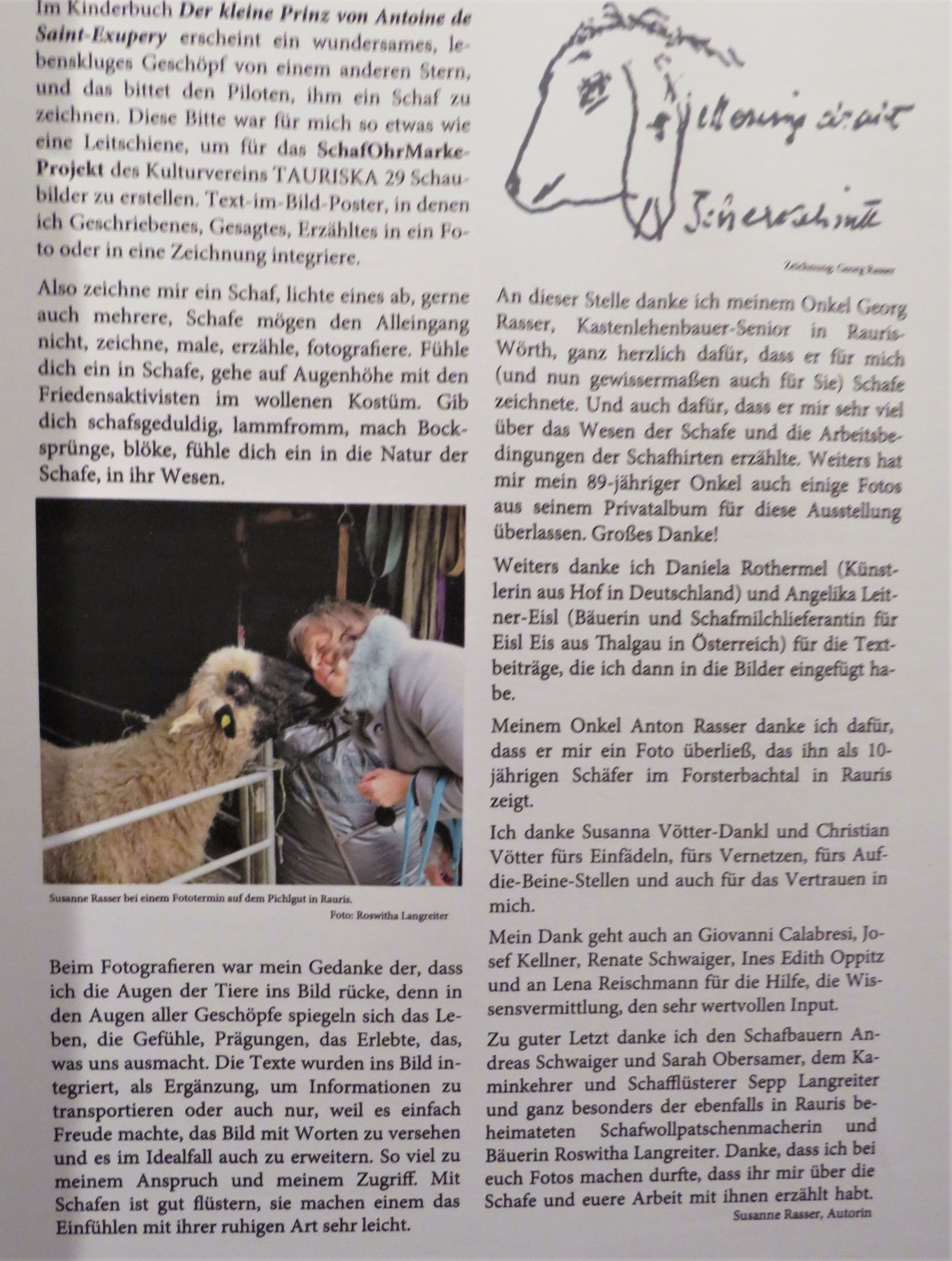 Schaf Ausstellung